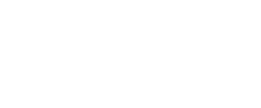 logo of the project